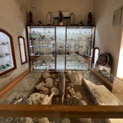 نيزك بعمر ملياري عام و"عقيق البيشمركة".. قصص جيولوجية فريدة لأحجار متحف أربيل