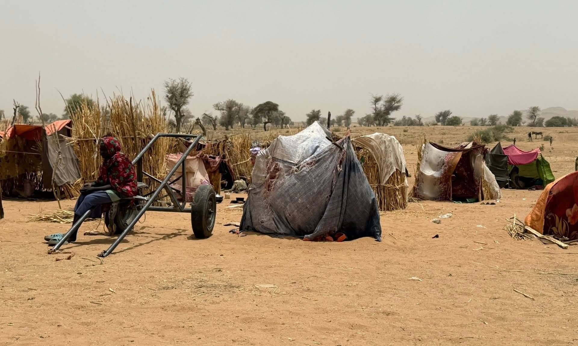 موقع إيطالي: 14 مليون نازح جراء الحرب في السودان والوضع يزداد سوءا