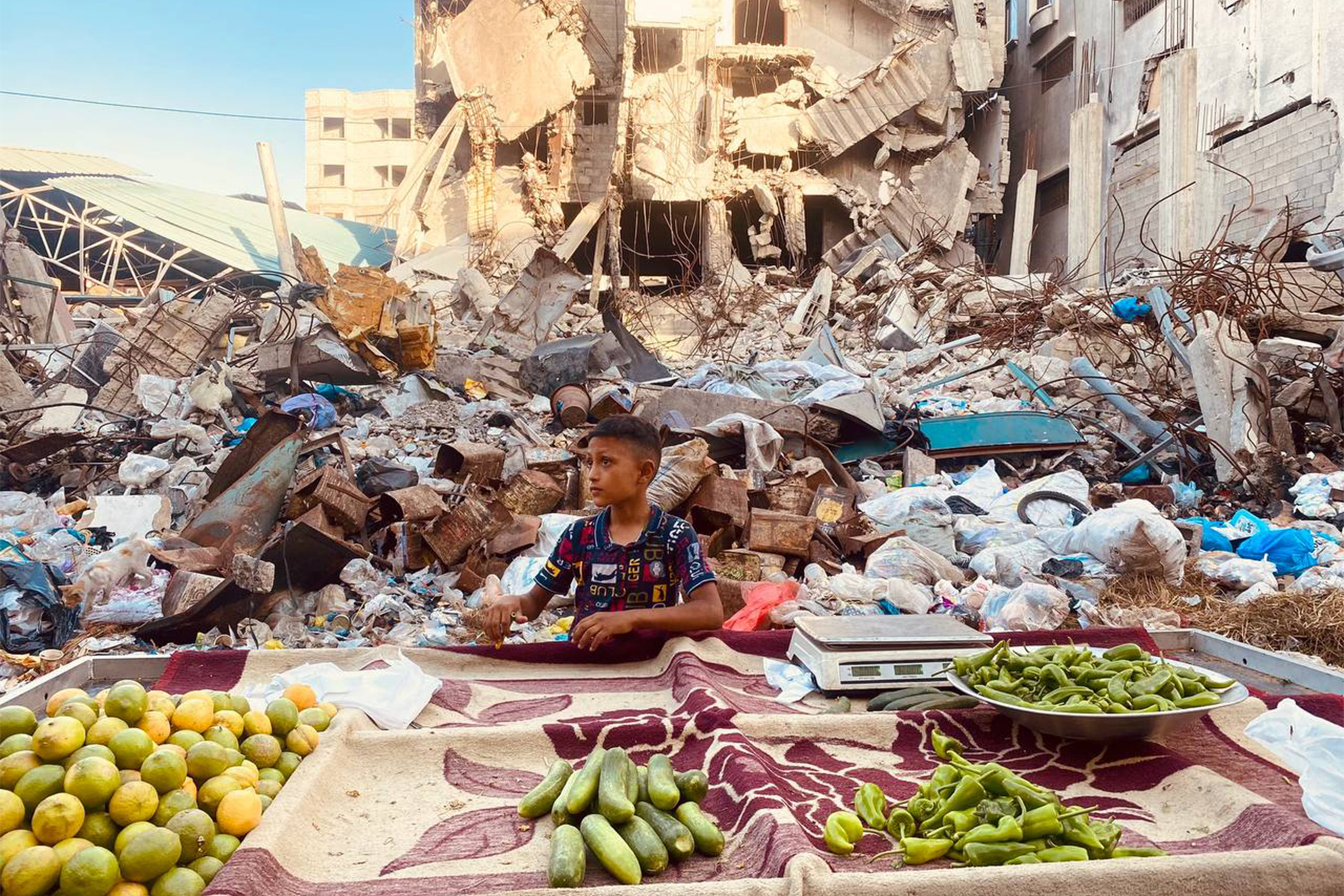 الأونروا: ارتفاع الأسعار بغزة بسبب تدمير إسرائيل الأرض الزراعية