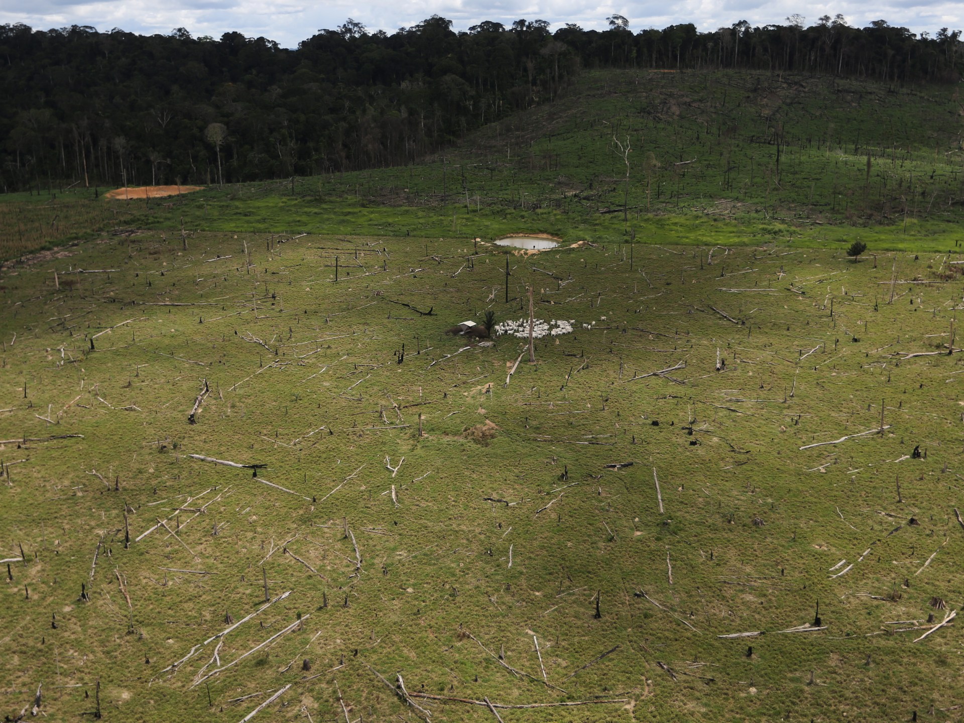 علماء يطورون نظاما ذكيا لرصد التغيرات البيئية أثناء حدوثها