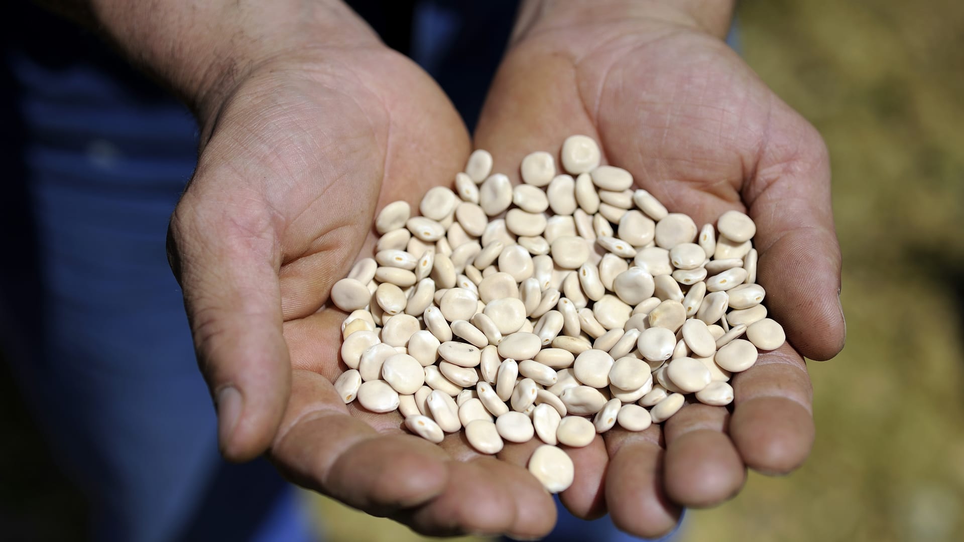 الترمس..6 أسباب ستدفعك لتناول هذه الحبوب الصفراء