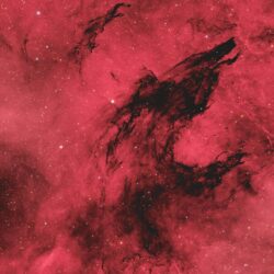 بينها "سديم الذئب المظلم"..صور فلكية مذهلة ترصد عجائب الكون في سماء مصر