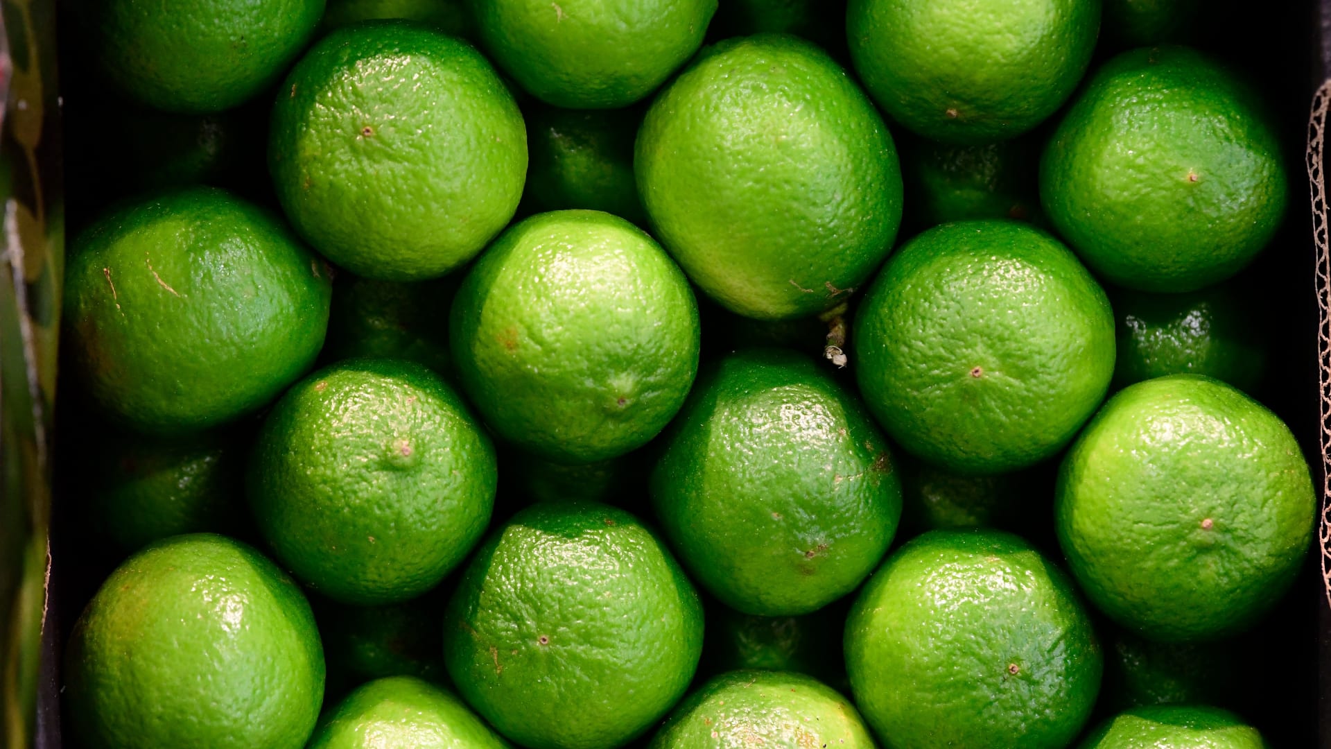 فوائده مذهلة.. كيف تُضيف الليمون الأخضر إلى طعامك؟