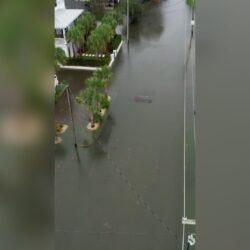 شاهد.. عاصفة عاتية تُغرق شوارع مدينة تشارلستون الأمريكية