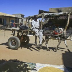 نشطاء يعلنون سقوط عشرات القتلى بهجوم لقوات الدعم السريع في غرب السودان