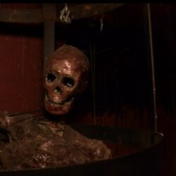 سفينة "مسكونة".. هل تجرؤ على خوض أكثر الجولات رعبًا على متنها؟