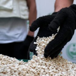 السعودية: الداخلية تعلن إعدام مواطن بالمنطقة الشرقية وتكشف عن اسمه وتهمته