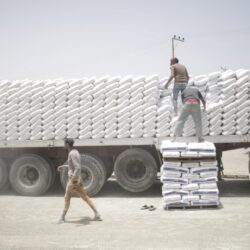 مصر تراهن على استقرار أسعار الطاقة وترفع إنتاج الأسمنت لإعادة إعمار غزة.. وخبراء يعلقون