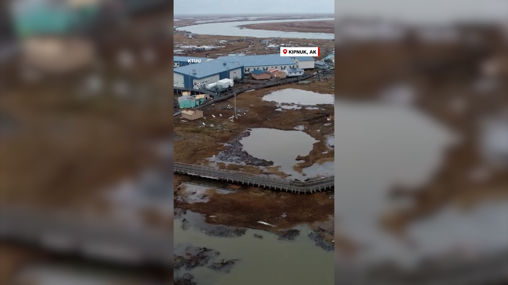 شاهد مصير عشرات الكلاب بعد فيضانات مدمرة خلفها إعصار ألاسكا