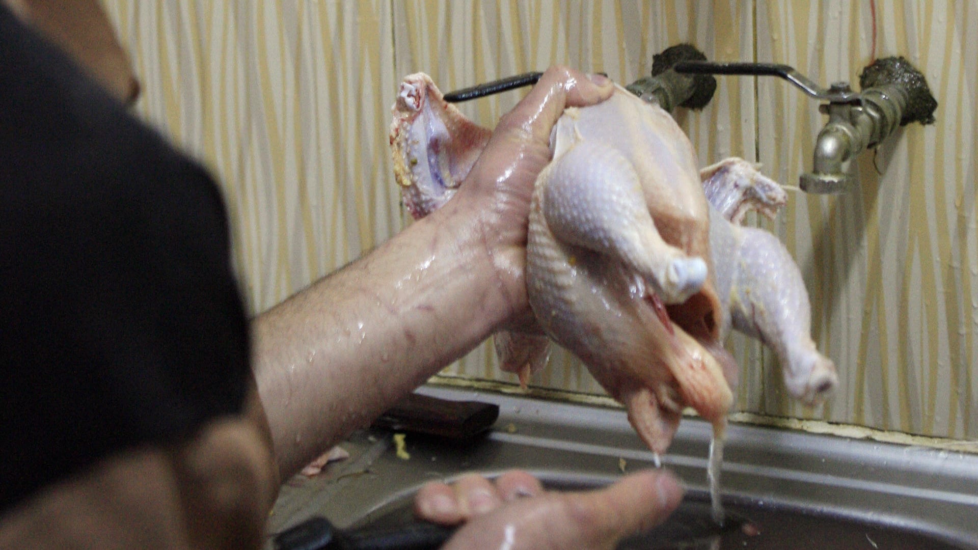 هل يجب غسل الدجاج النيئ قبل طهيه؟ خبيرة تغذية تحسم الجدل