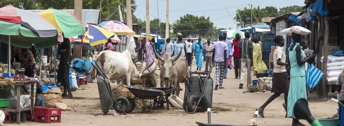 حدود جنوب السودان المفتوحة تغذي الهجرة غير النظامية 3 4 5 1761461205