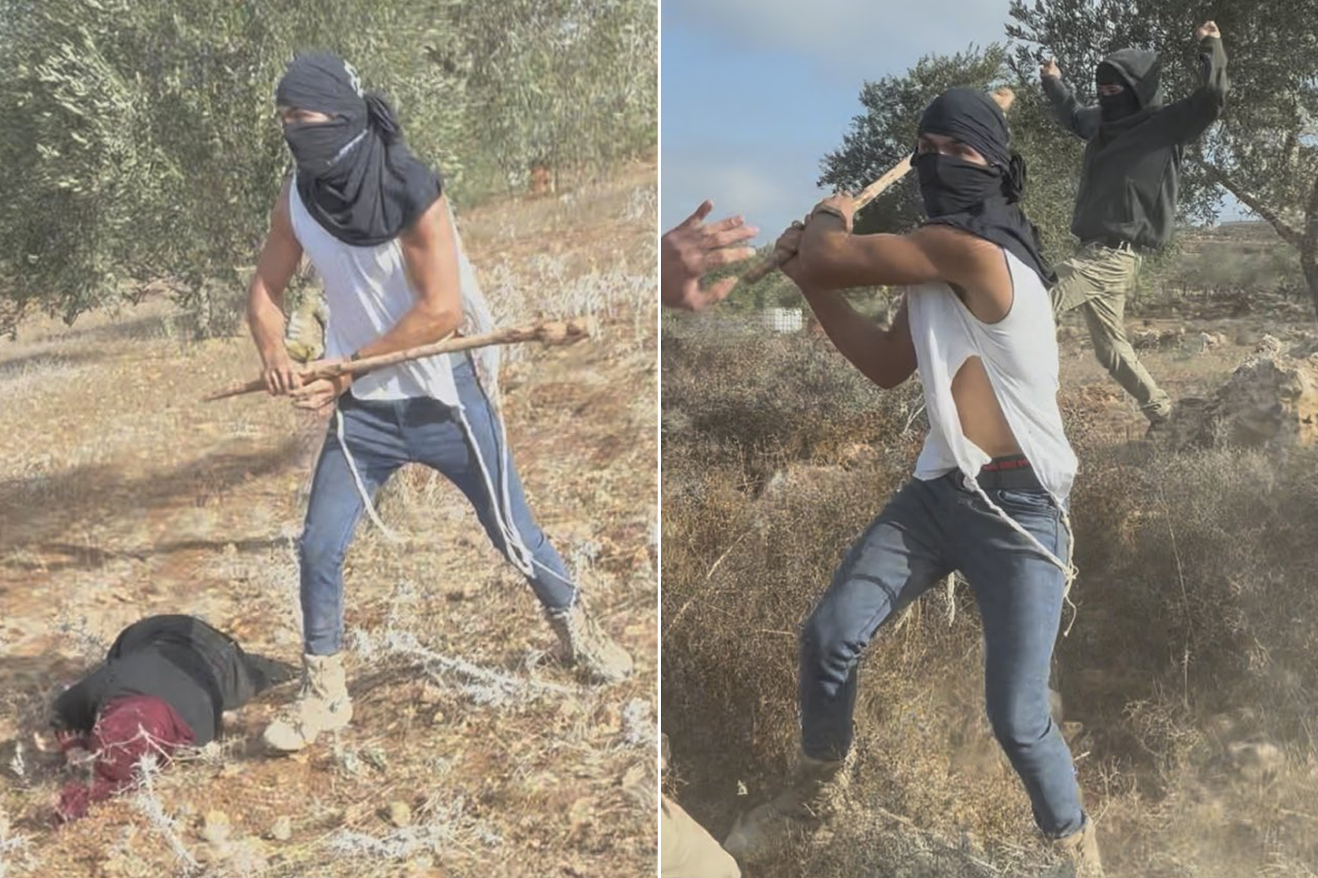 صحفي أميركي: هجوم المستوطنين بترمسعيا كاد يقتلنا والإعلام الأميركي تجاهل الأمر