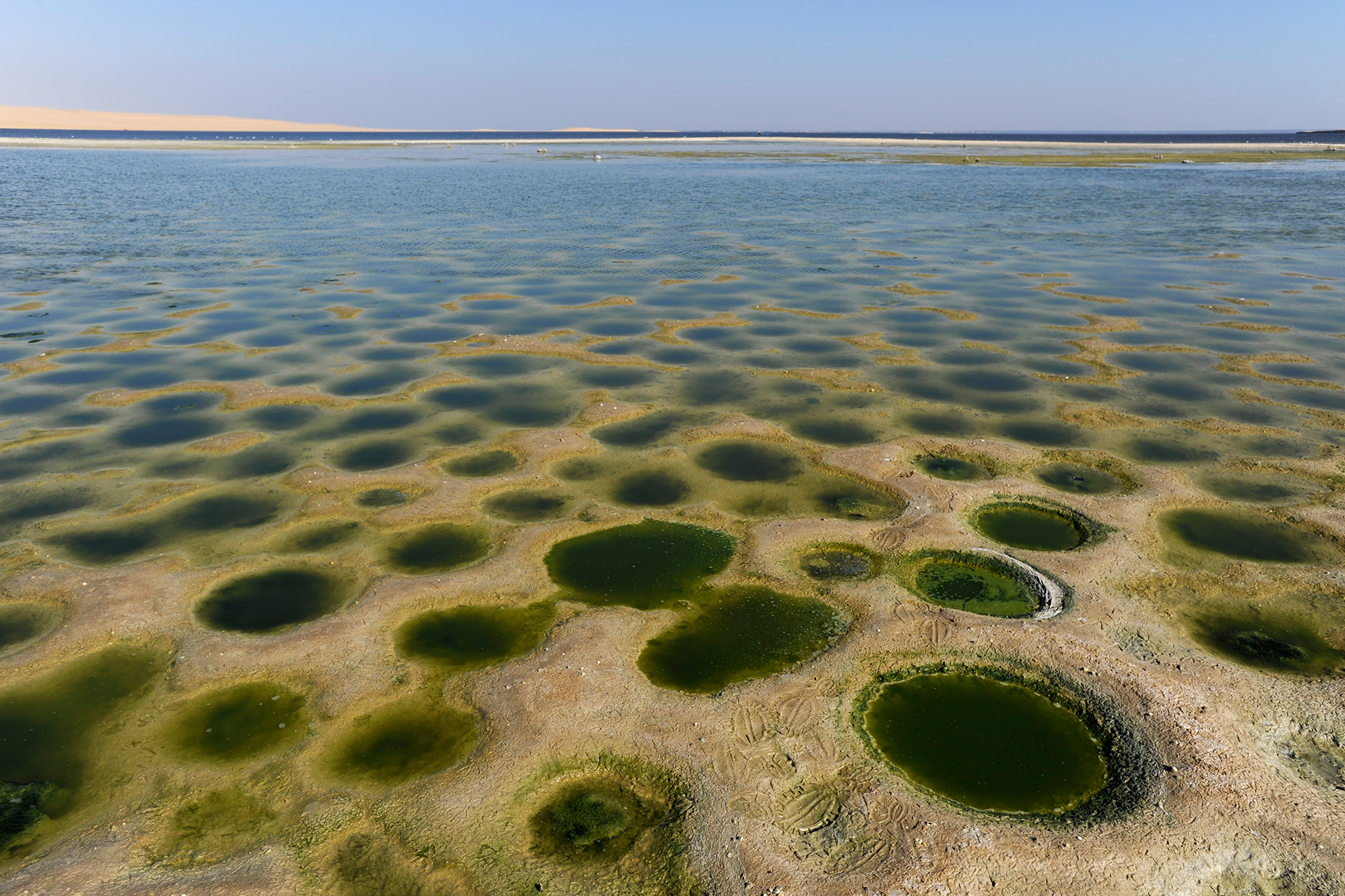 ما السر وراء تحول بحيرة قارون المصرية من عذبة إلى مالحة؟