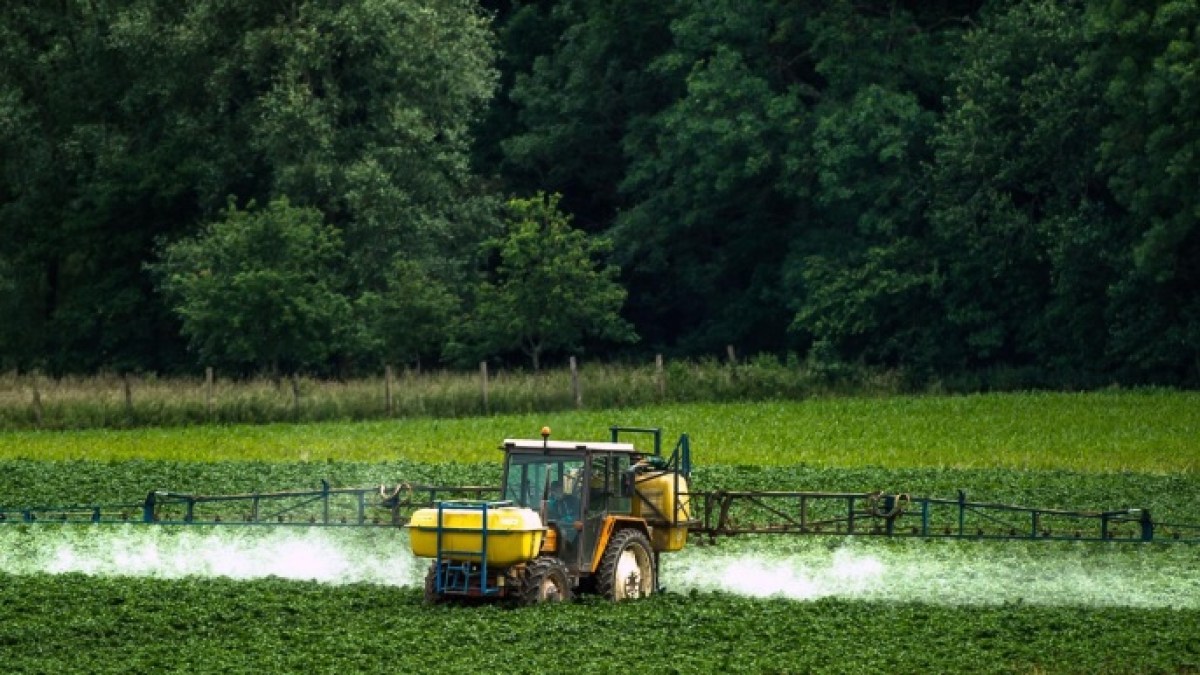 كيف تغيّر وضع العامل الأميركي خلال 250 عاما؟