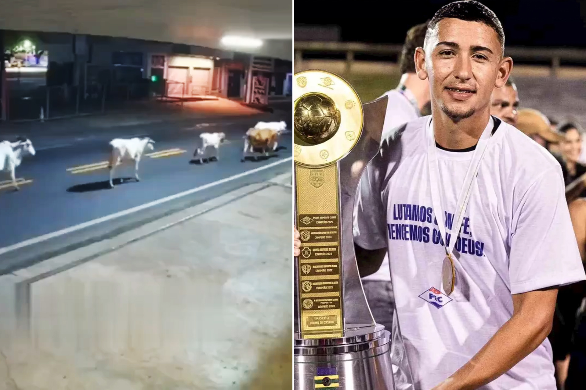 شاهد.. بقرة تتسبب بوفاة صادمة لاعب كرة قدم