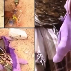 حقيقة العثور على ألعاب أطفال مفخخة في غزة بعد انسحاب الاحتلال