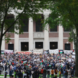 ترامب: الجامعات الأميركية أفسدتها أيديولوجيات معادية لبلادنا