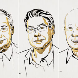 3 علماء يفوزون بجائزة نوبل في الاقتصاد لعام 2025