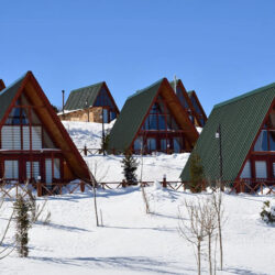 الأكواخ السياحية في تركيا.. تجربة فريدة بين أحضان الطبيعة