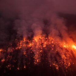 مستوى قياسي للحرائق وانبعاثات الكربون بغابات الأمازون