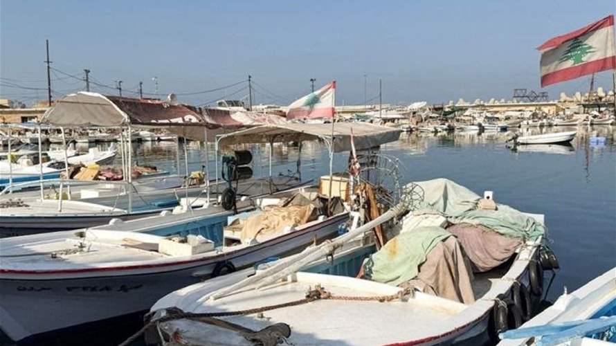 Life at Naqoura port: Fear and silence replace the ‘daily catch’