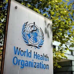 WHO ready to 'scale up' health response after Gaza ceasefire