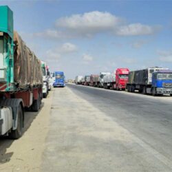 Egypt Red Crescent says 153 aid trucks cross Rafah border heading to Gaza