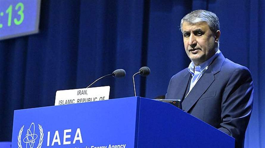 Iranian official: No IAEA inspectors currently in the country