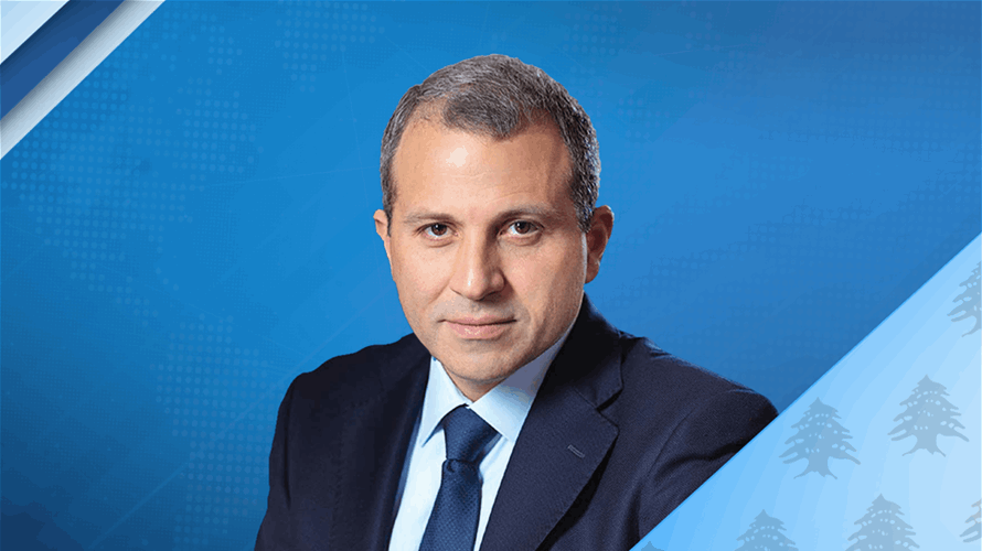 MP Bassil meets French lawmakers to discuss ways to assist Lebanon