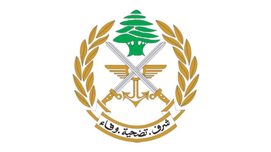 Army takes custody of 6 Palestinian security members over killing of Elio Abou Hanna, 5 others detained in separate murder case inside Shatila camp