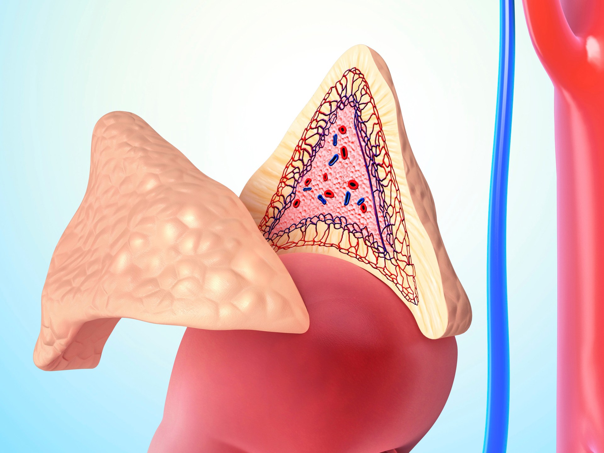 هرمون الكورتيزول موضع وعود كاذبة على الإنترنت