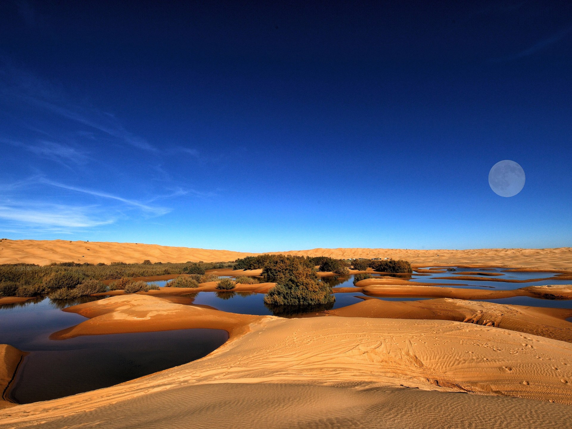 دراسة تتوقع زيادة بـ75% في هطول الأمطار بالصحراء الكبرى