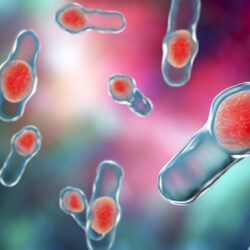 الصحة العالمية تحذر من الانتشار الواسع للبكتيريا المقاومة للمضادات الحيوية