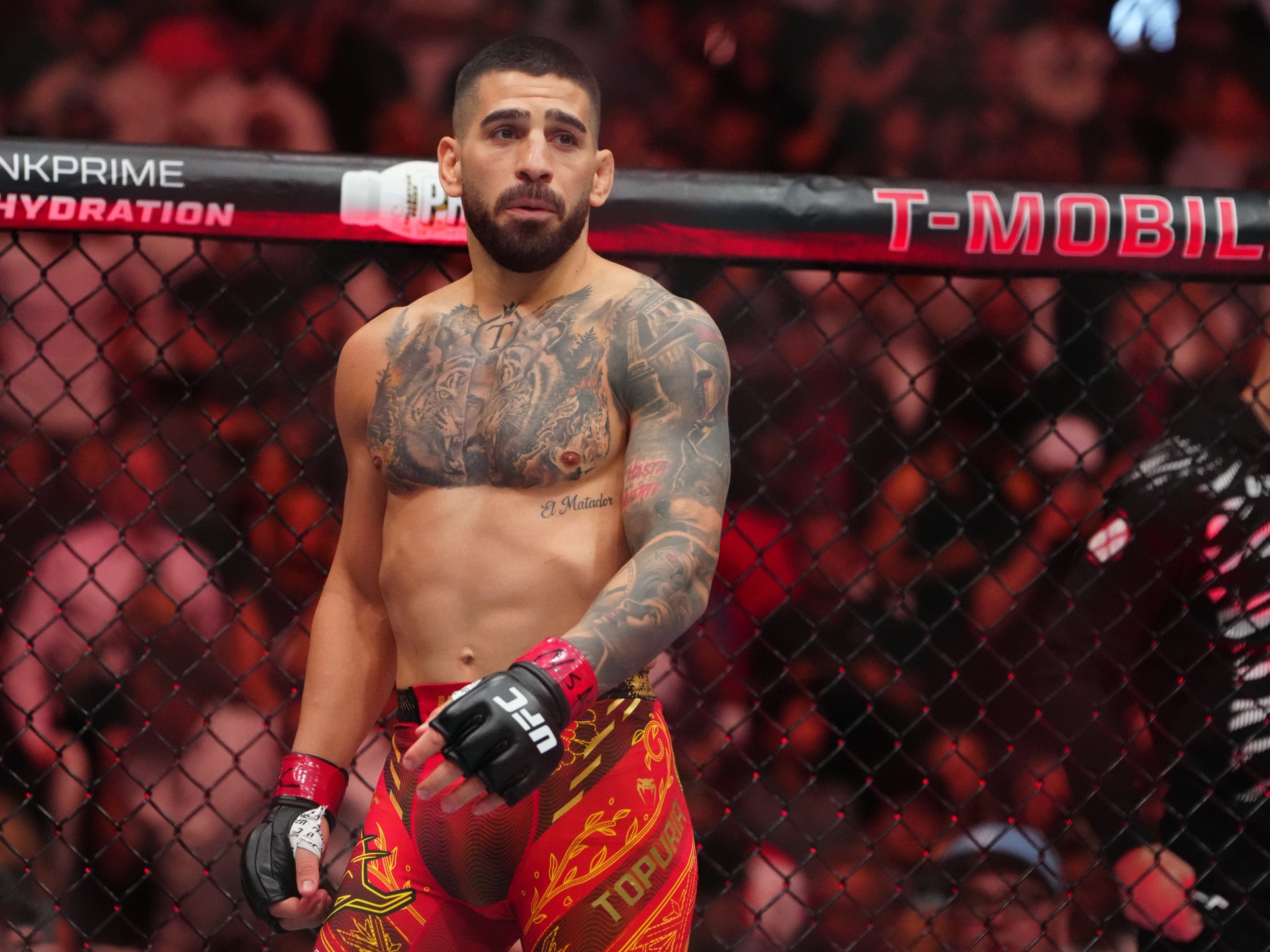 توبوريا يتحدى ماخاتشيف للتتويج بلقب ثالث