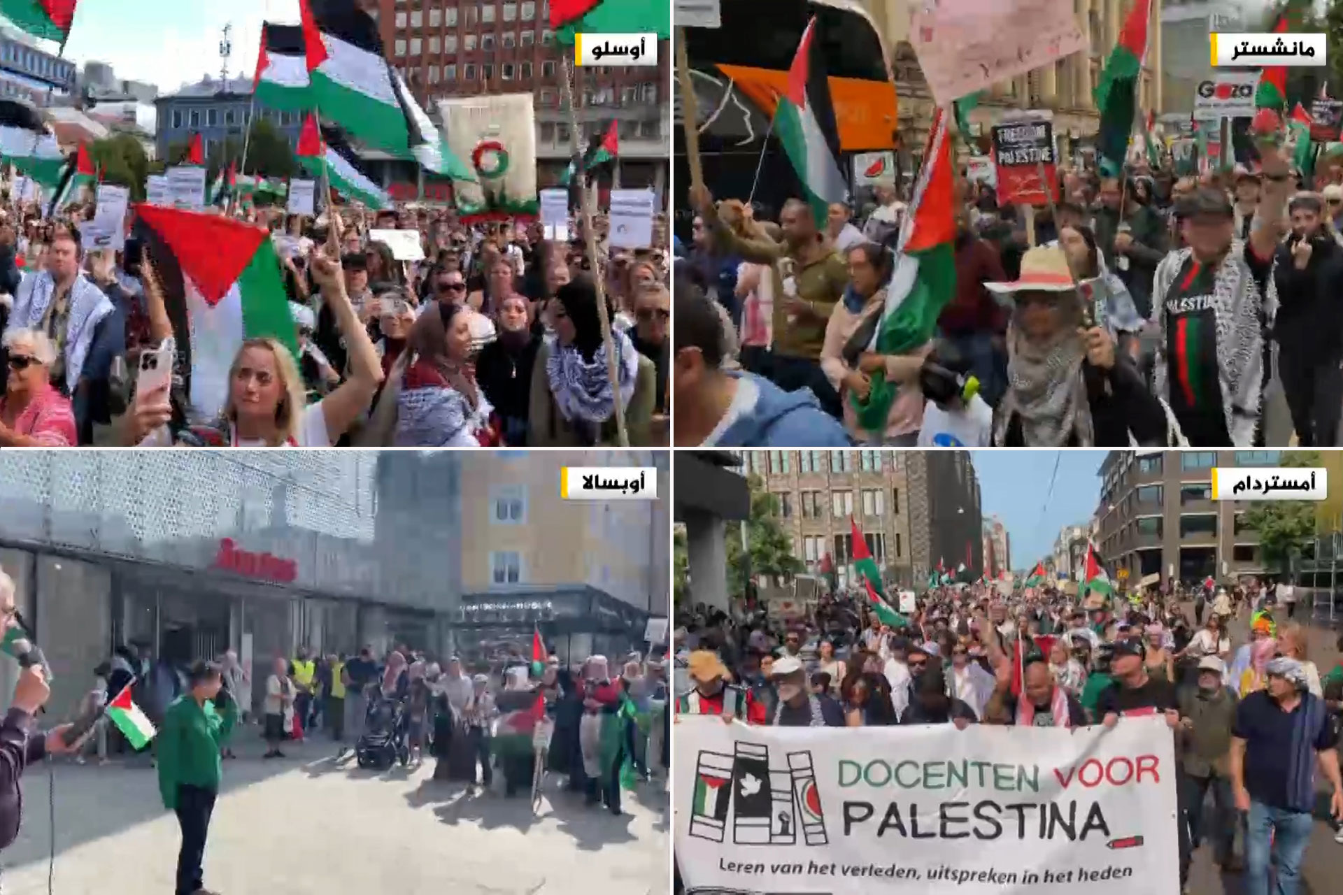 كيف ينظم الفلسطينيون بالخارج تحركاتهم لمواجهة الاحتلال؟