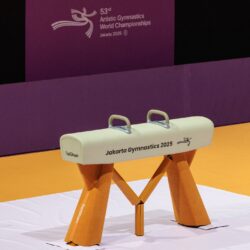 رفض جماعي لمشاركة إسرائيل في بطولة العالم للجمباز