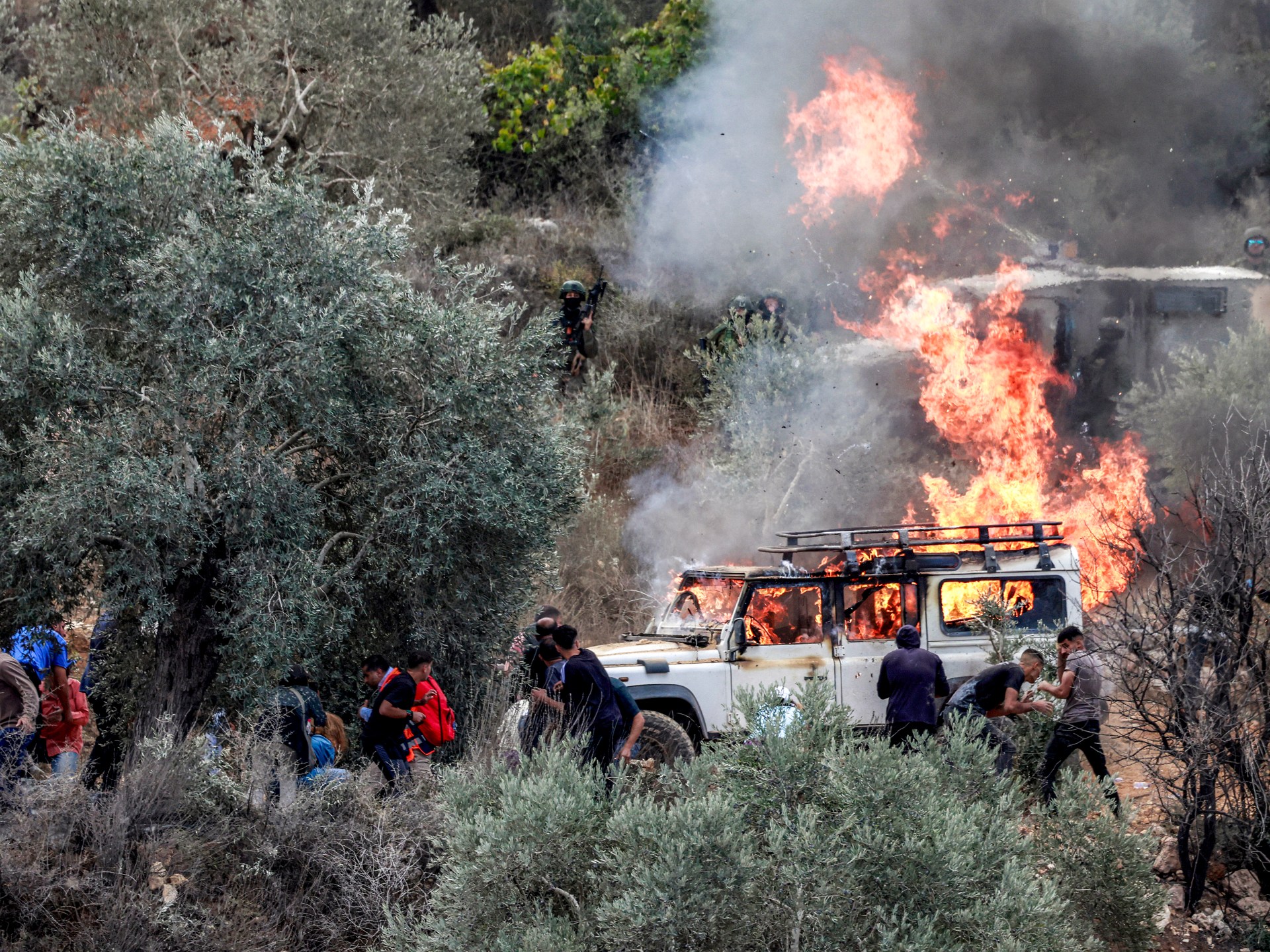 مستوطنون يحرقون حقول زيتون ويهاجمون مزارعين بالضفة المحتلة
