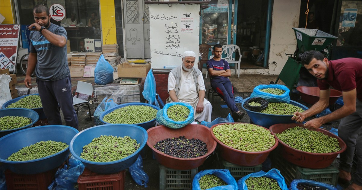 إنفوغراف.. ذهب فلسطين الأخضر في خطر