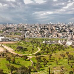 اتفاقية هداساه.. توقيع جرد جبل المشارف بالقدس من السلاح