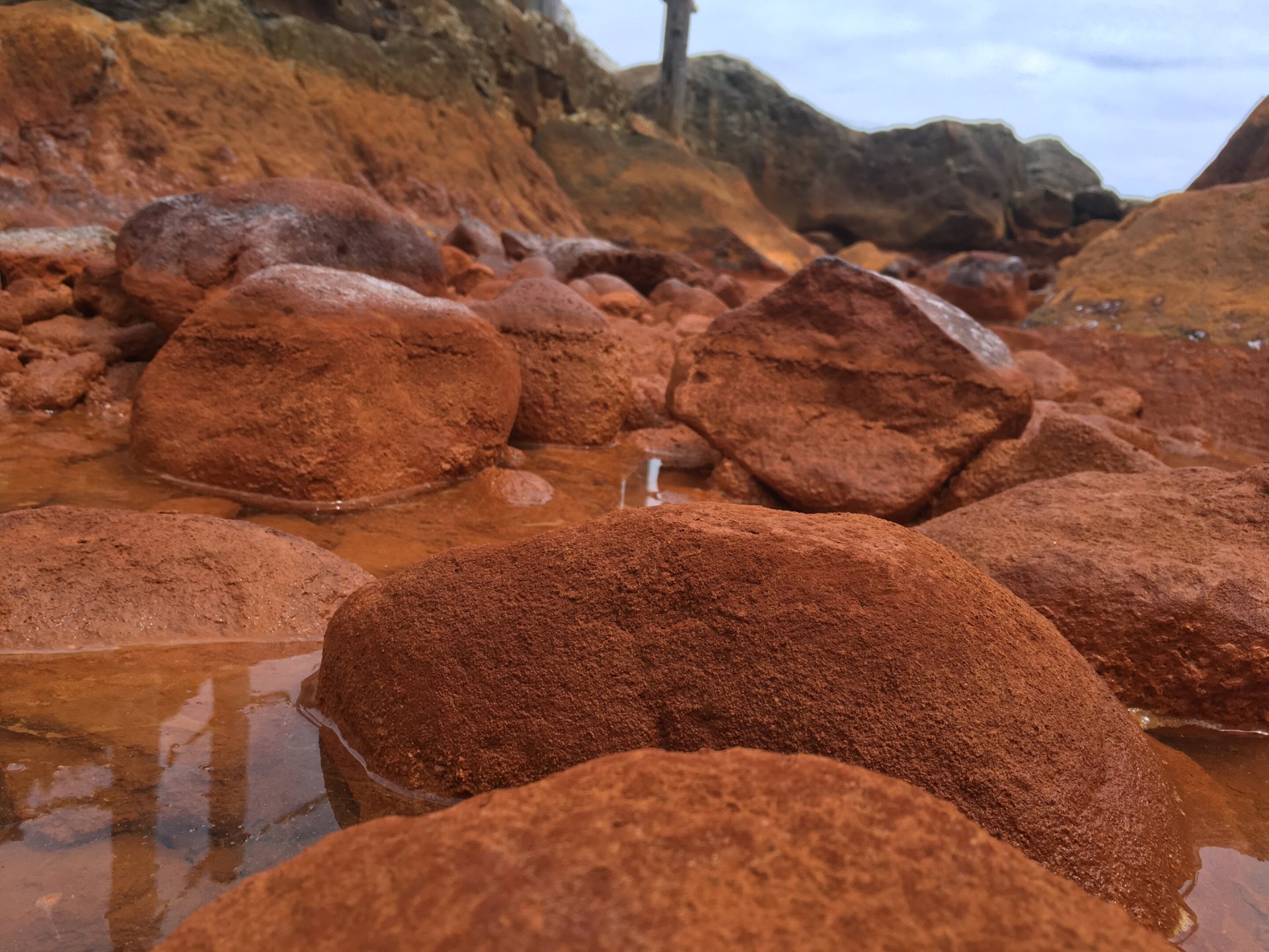 الينابيع الساخنة باليابان تكشف أسرار أقدم صور الحياة على الأرض