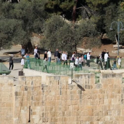 7119 مقتحما.. هكذا مرّ عيد العُرش اليهودي على الأقصى ومحيطه