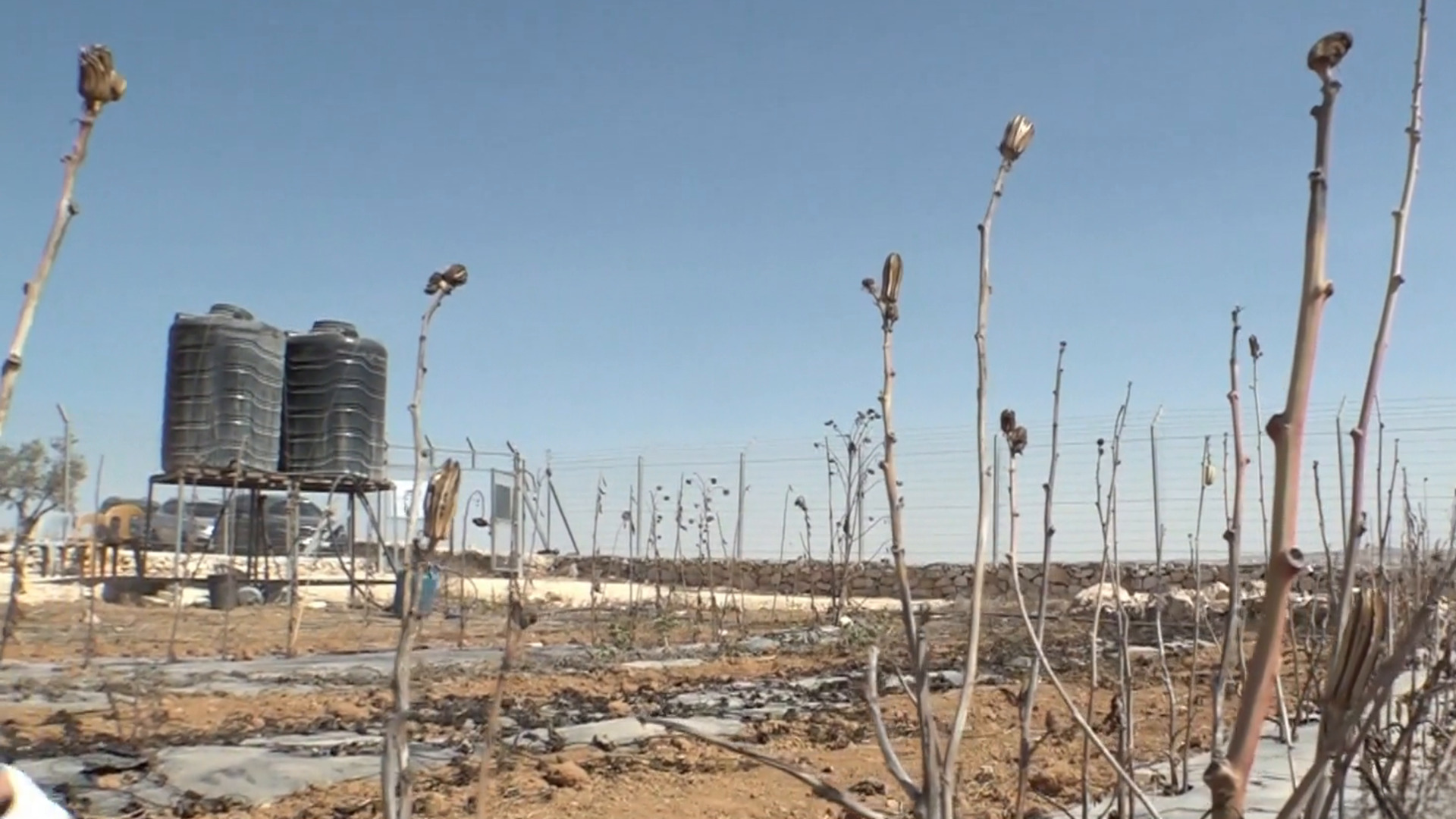 الاحتلال يدمر وحدة تحسين البذور الفلسطينية جنوب الخليل بالضفة الغربية