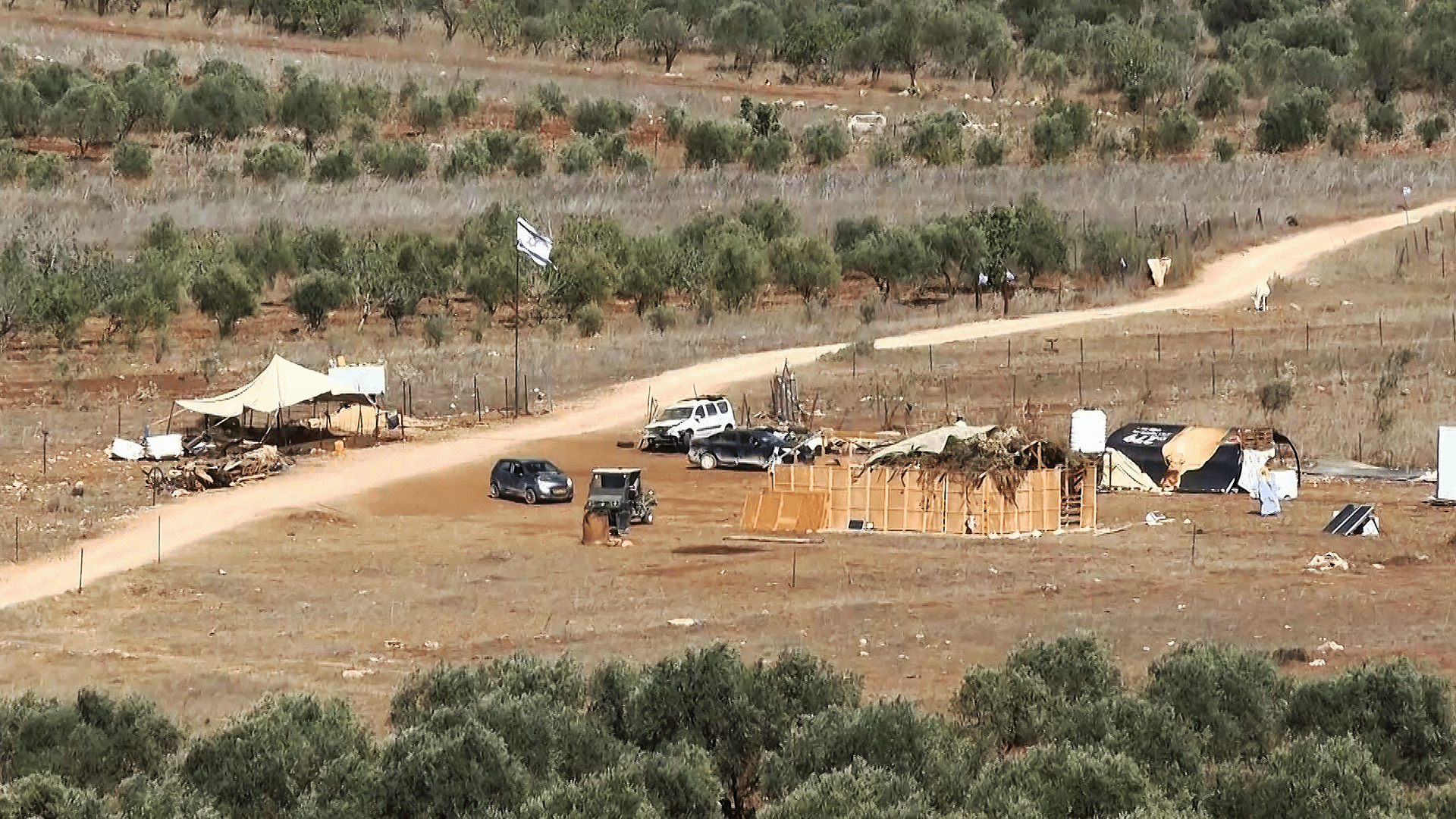 مستوطن يضرب مسنَّة فلسطينية لمنعها من جني الزيتون