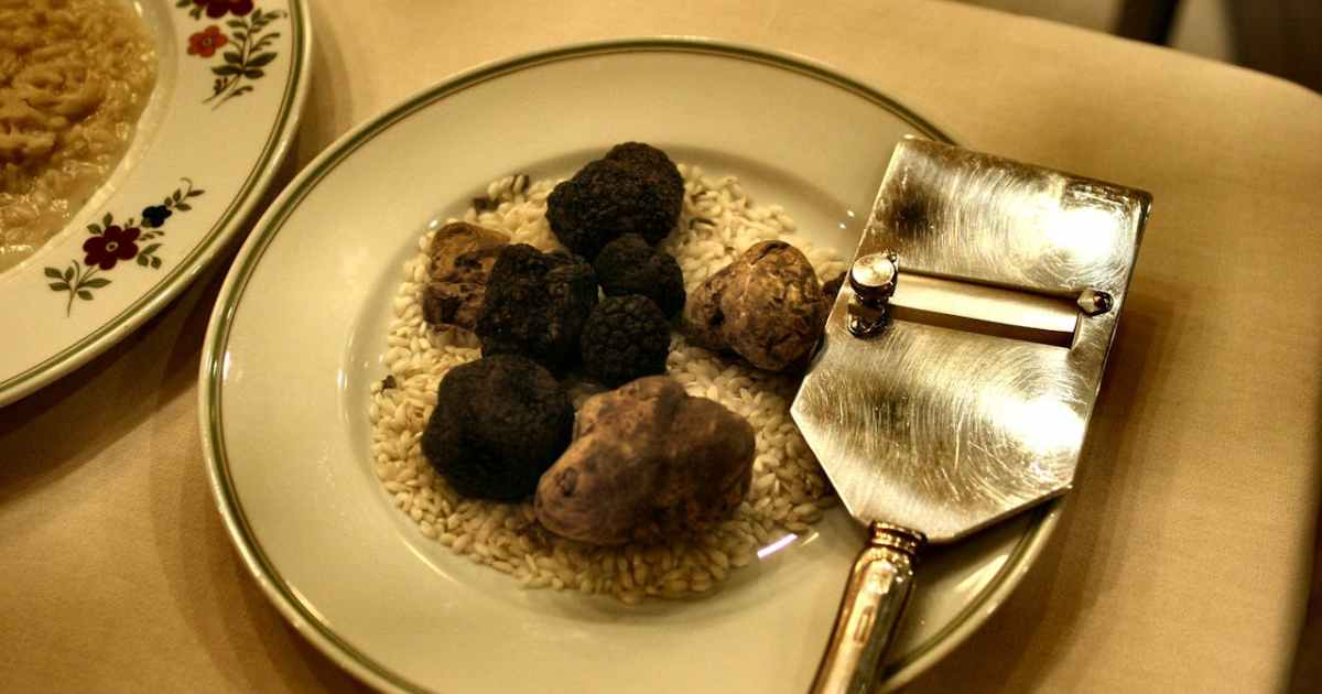 فطر الكمأة كنز ثمين من باطن الأرض إلى أطباق الملوك