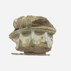 ألمانية تُعيد إلى اليونان قطعة أثرية بعد 50 عاما من سرقتها