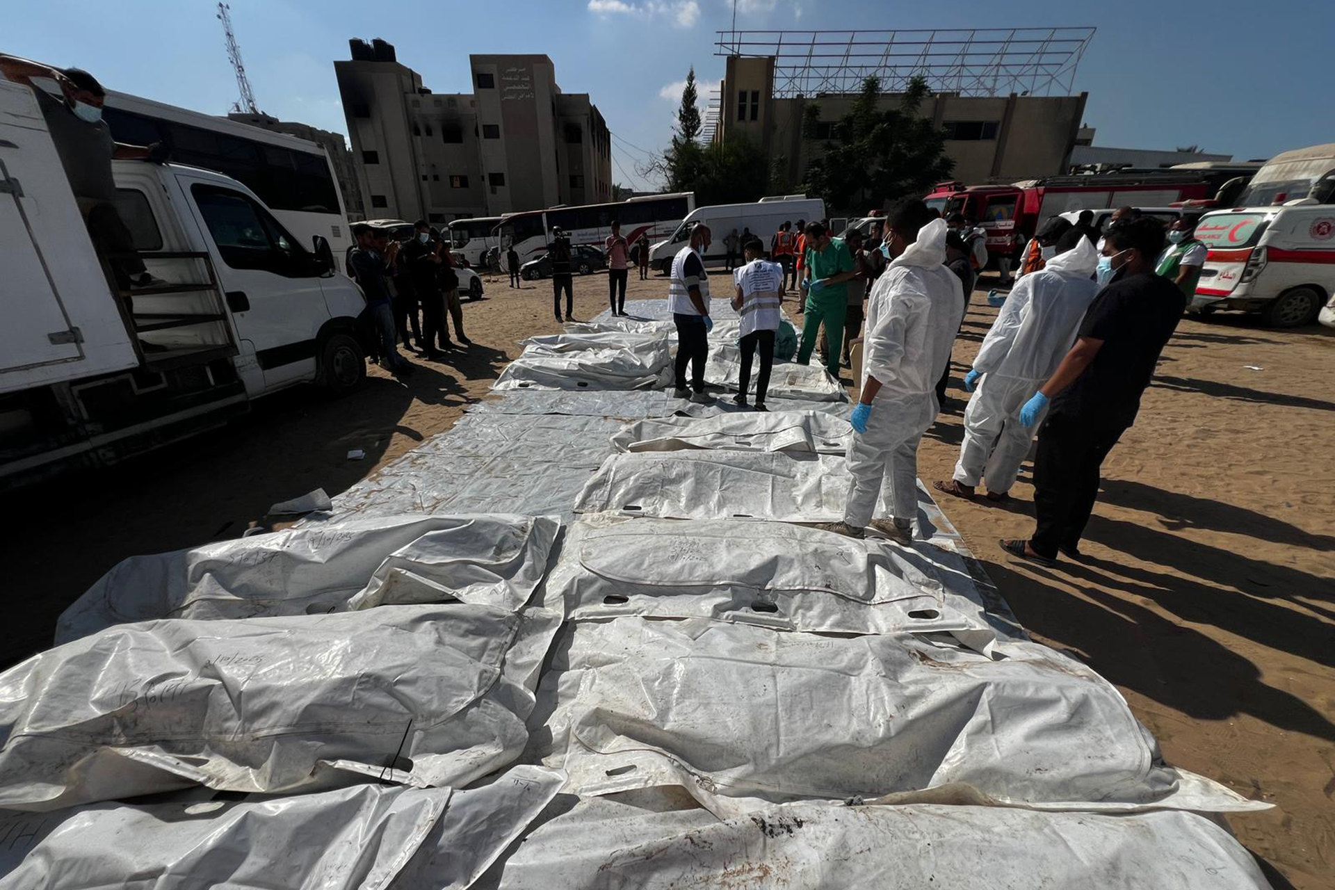 وجدان أبو شمالة.. فقدت 400 من عائلتها ووثقت وجع غزة في كتاب