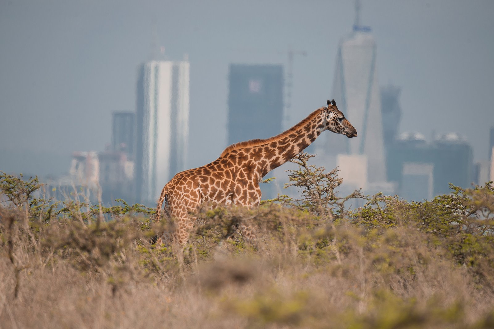 shutterstock 2255894543 1759854273