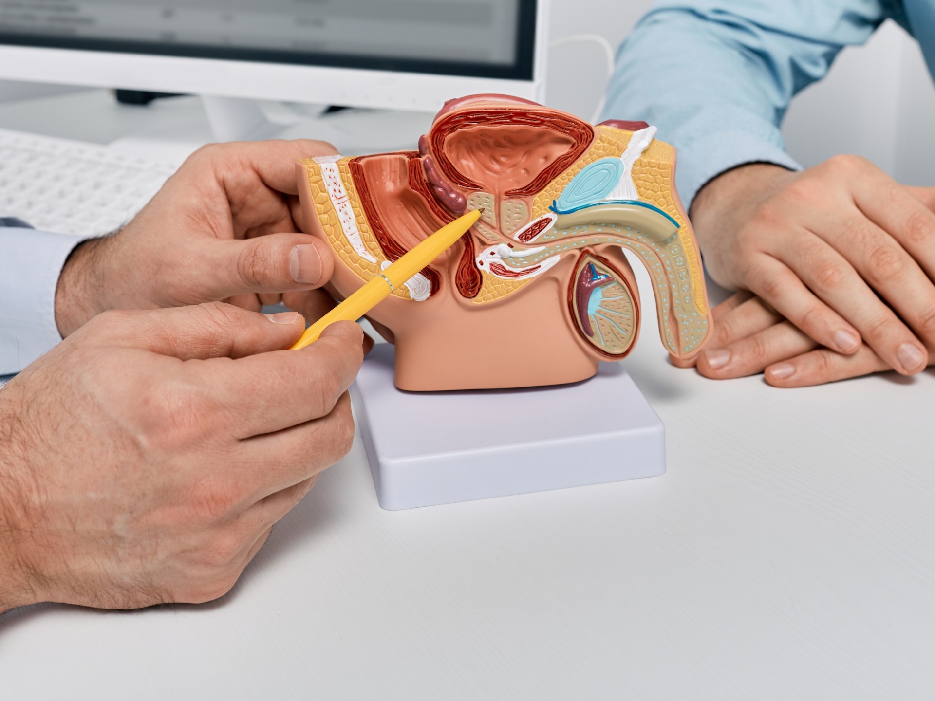 ‫نصائح ذهبية للحفاظ على صحة البروستاتا