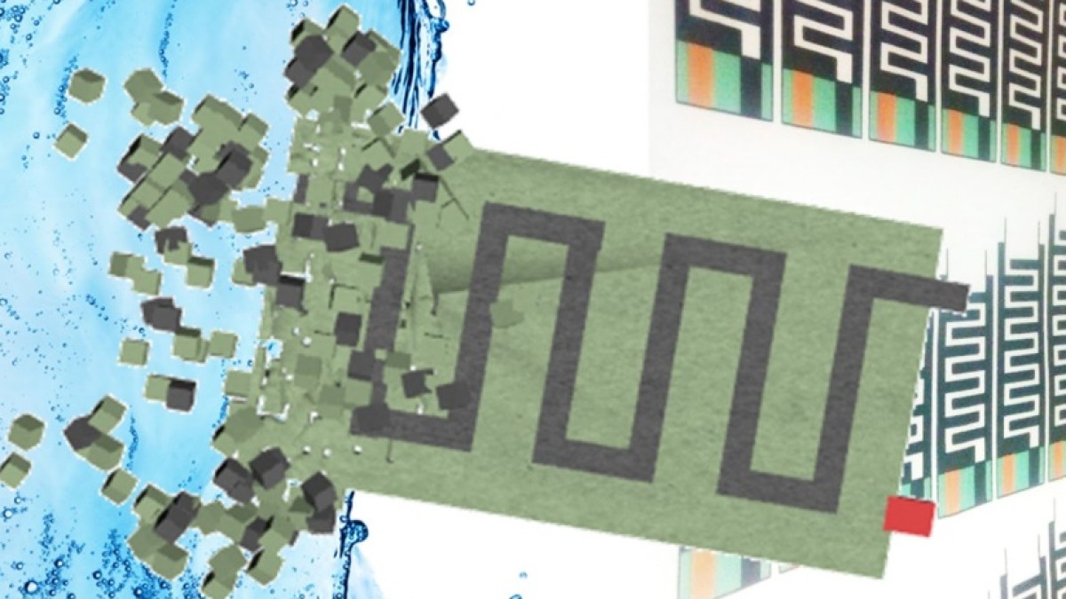 علماء للجزيرة نت: ابتكرنا بطاريات قابلة للتحلل والأكل!