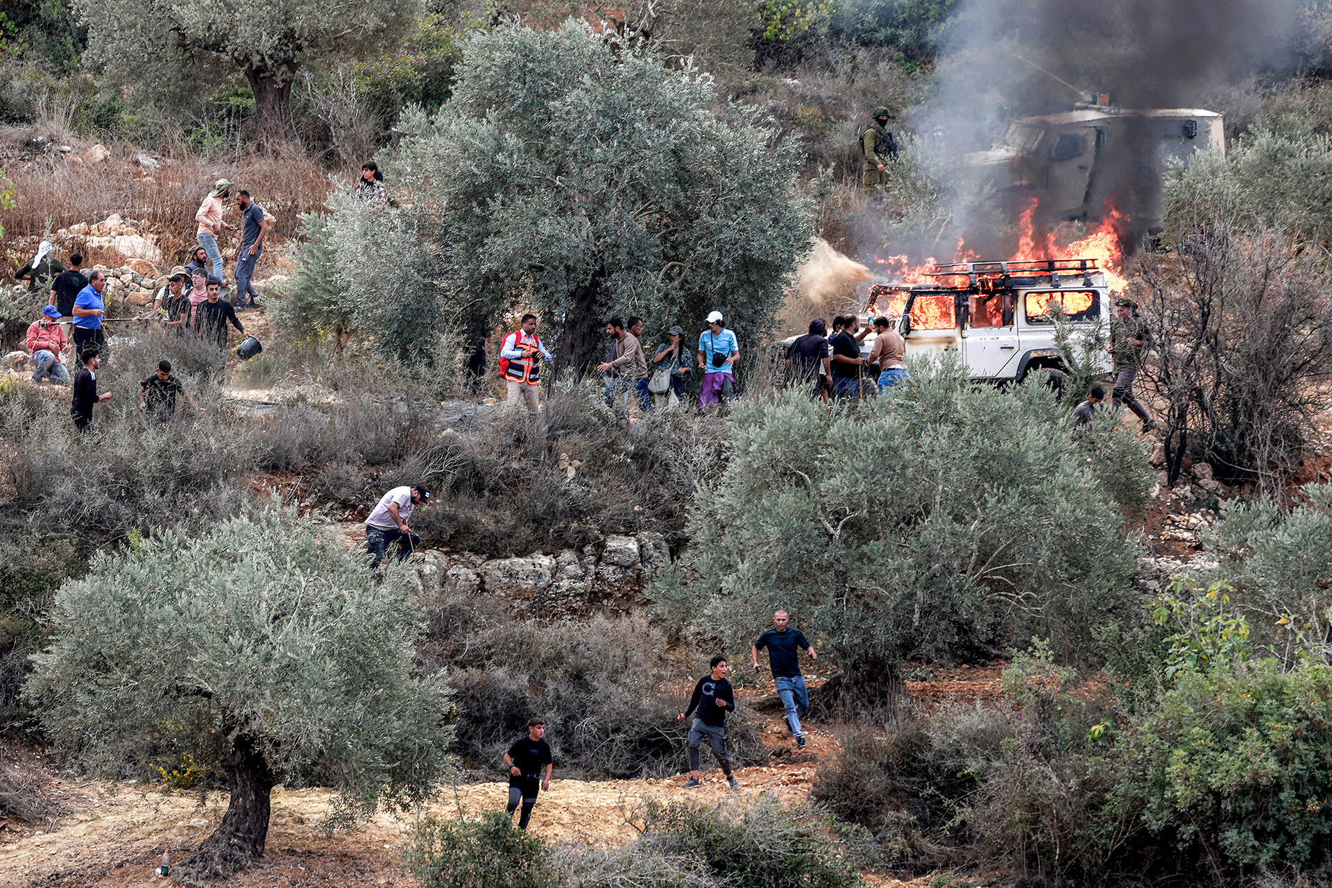 الاحتلال يكبّد الزراعة الفلسطينية خسائر باهظة
